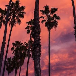 Meet your Posher, Tierney